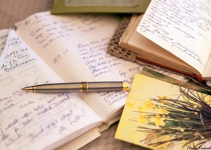 Kivijueri Kuelalistemaja Külalistemaja *